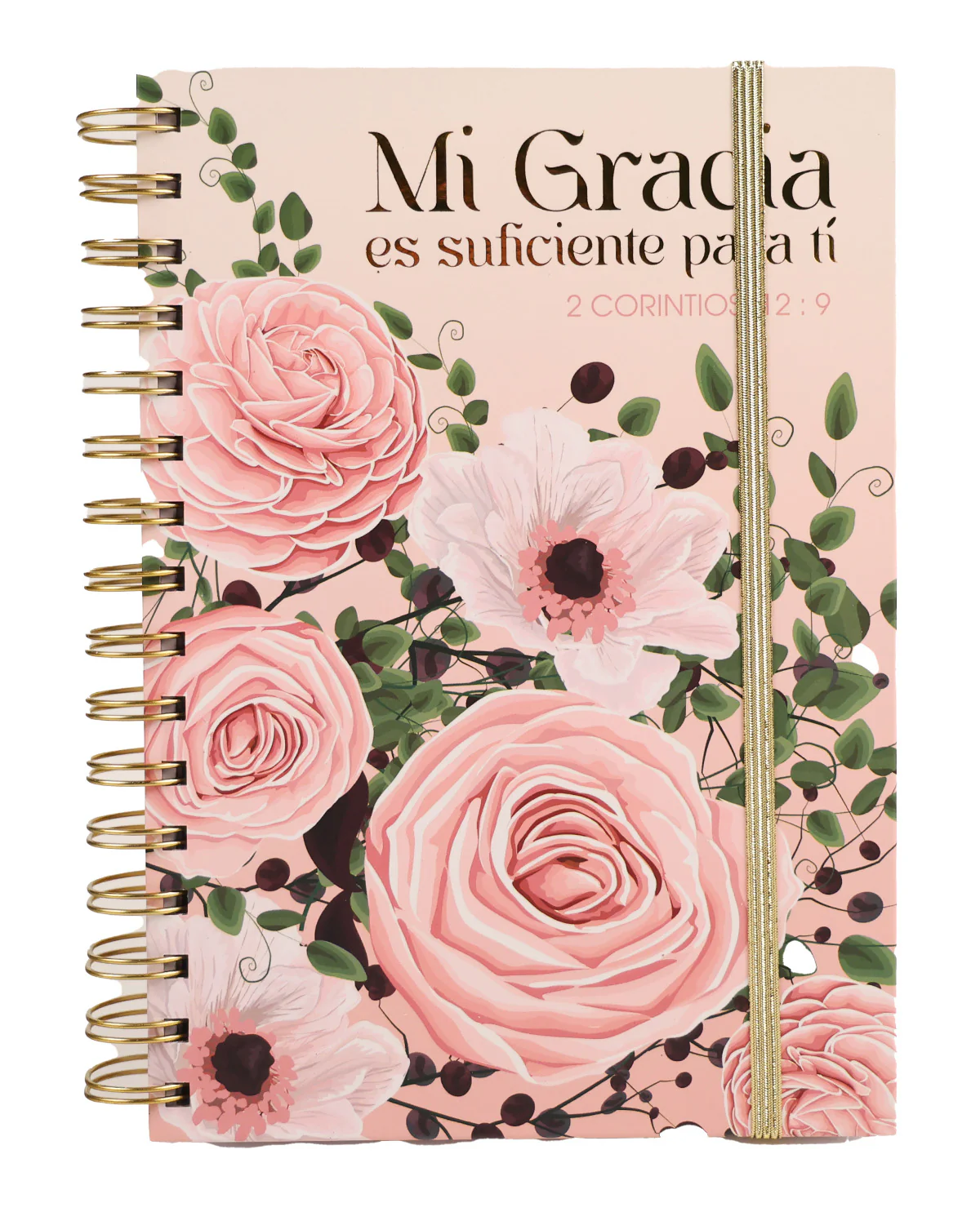 Assorted Spanish Religious Journals - Image 2
