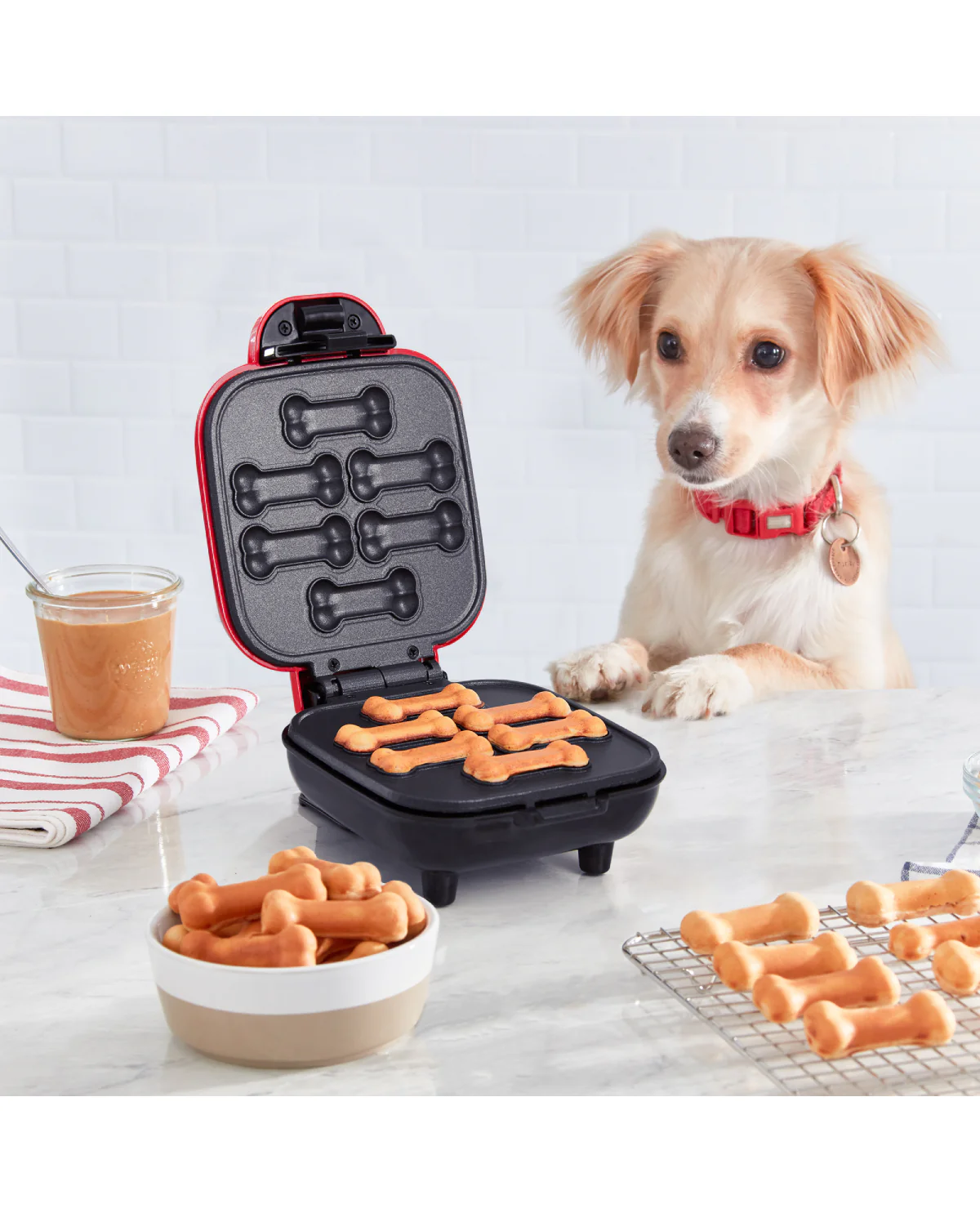 Mini Dog Treat Maker - Image 5
