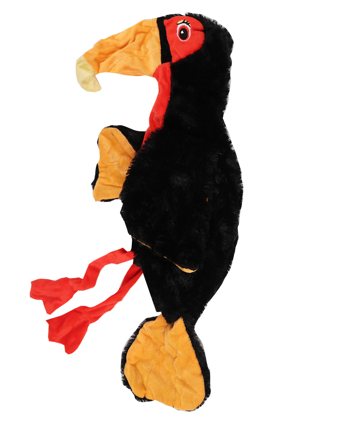 Parrott Crinkle - Image 2